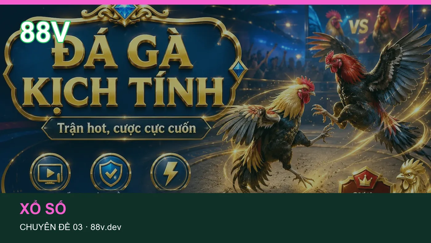 Hỏi đáp về Casino: quy trình tự kiểm tra trên 88V
